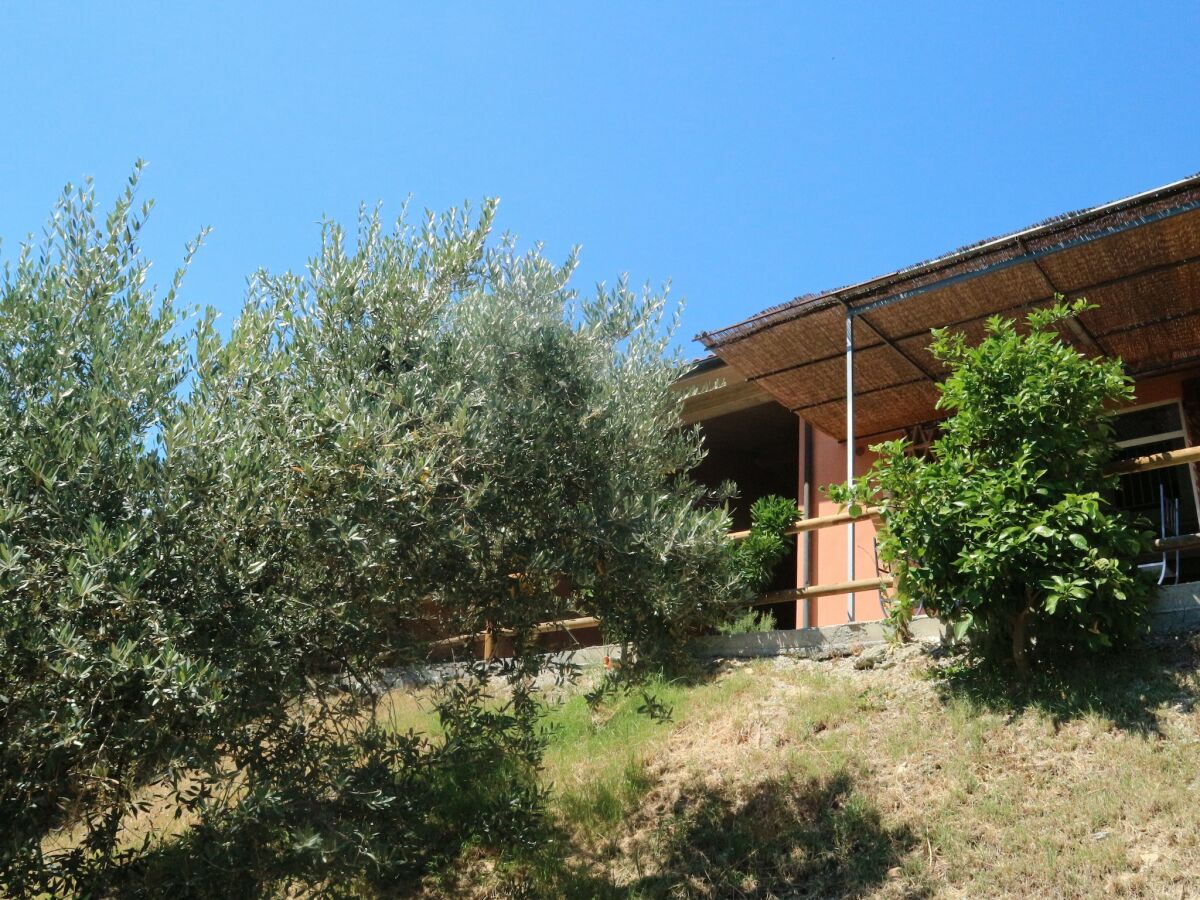 Holiday house Pet-Friendly Getaway, Castagneto Carducci - Outdoor photo 5