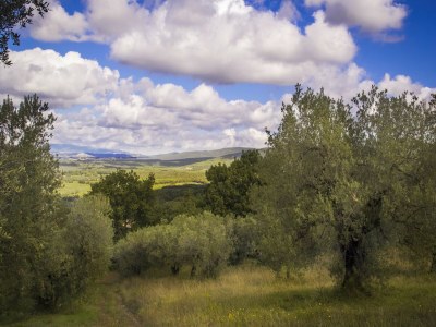 Holiday house Pet-Friendly Getaway, Castagneto Carducci - Outdoor photo 2