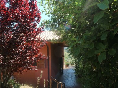 Holiday house Pet-Friendly Getaway, Castagneto Carducci - Outdoor photo 13