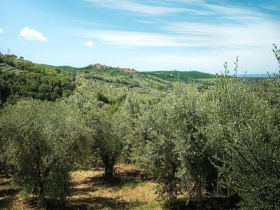 Holiday house Pet-Friendly Getaway, Castagneto Carducci - Outdoor photo 16