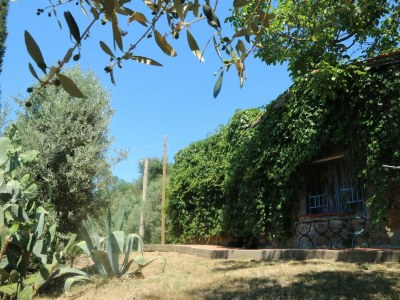 Holiday house Pet-Friendly Getaway, Castagneto Carducci - Outdoor photo 19