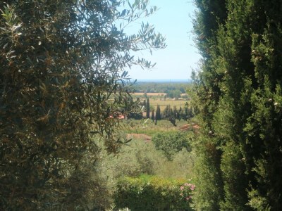 Holiday house Pet-Friendly Getaway, Castagneto Carducci - Outdoor photo 20