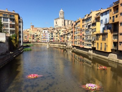 Holiday house Casa Mediterran - Environment photo 15