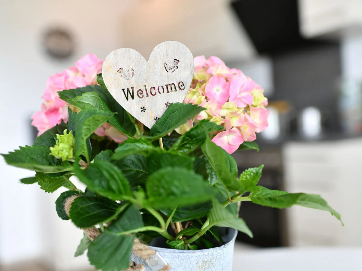 Holiday apartment Dinkelbach 1 - Outdoor photo 3