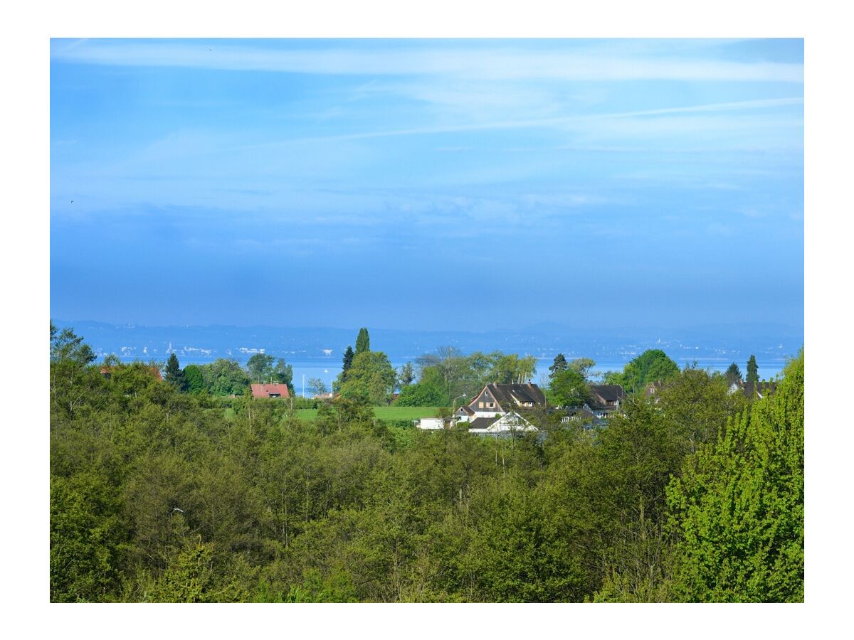 Holiday apartment Dinkelbach 1 - Outdoor photo 4