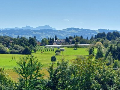 Holiday apartment Dinkelbach 1 - Features photo 17