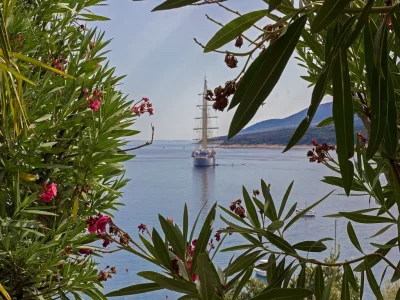 Holiday apartment With sea view 100 m from the sea - Outdoor photo 7