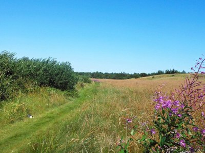 Holiday house 5 Personen Ferienhaus in Højslev-By Traum - Outdoor photo 10