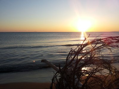 Holiday apartment Agriturismo Aiola - Apartment PORTICO - Environment photo 19