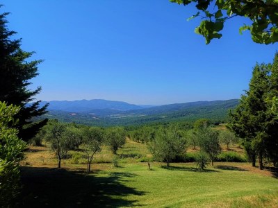 Villa Villa San Martino - Environment photo 20