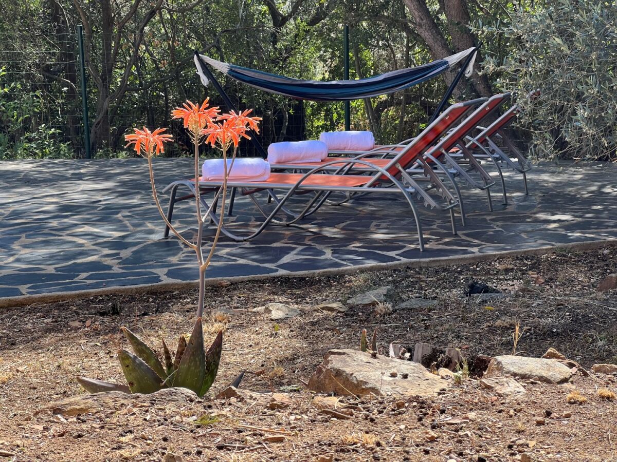 Holiday house Casa Navarra - Outdoor photo 5