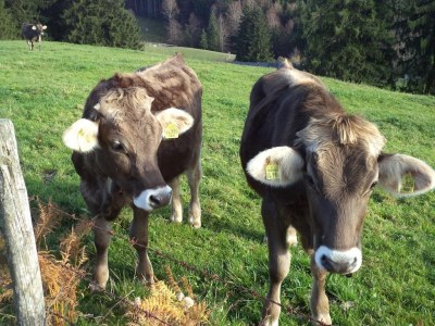 Holiday apartment Bredow 1 - Environment photo 25