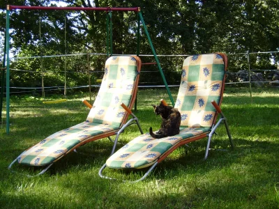 Holiday apartment Krischanshof ***** - Outdoor photo 7