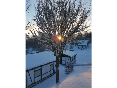 Bungalow Beutel - Environment photo 35