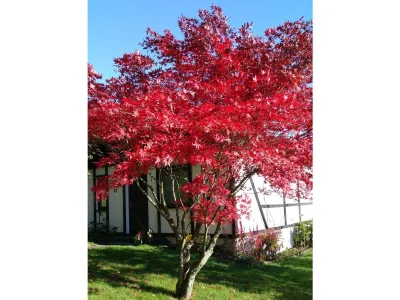 Bungalow Beutel - Environment photo 36