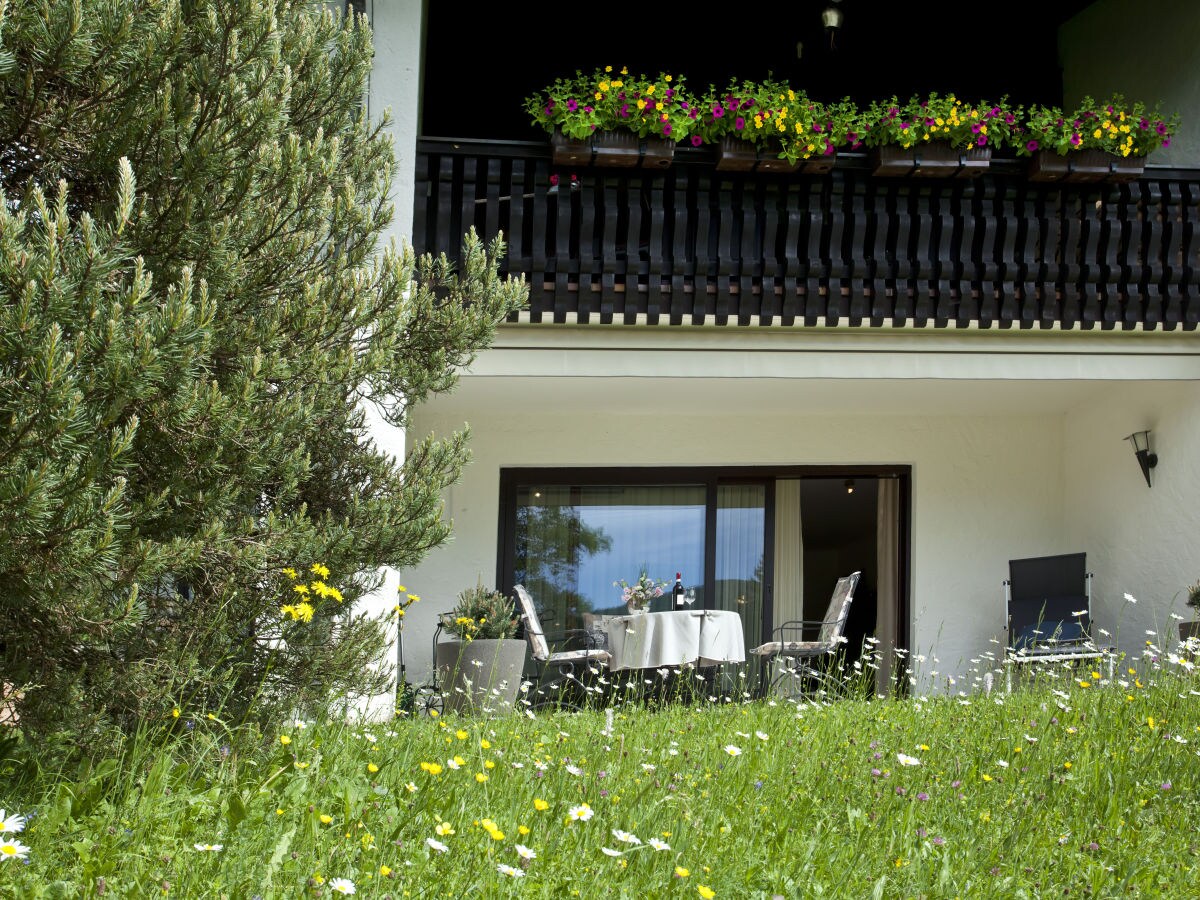 Holiday apartment Haus Auerhahn - Outdoor photo 3