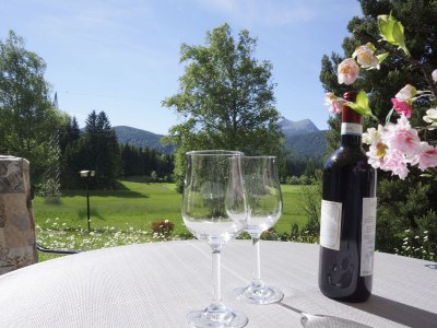 Holiday apartment Haus Auerhahn - Outdoor photo 5