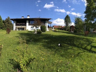 Holiday apartment Haus Auerhahn - Outdoor photo 7