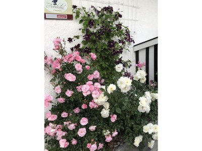 Holiday apartment Haus Auerhahn - Outdoor photo 11