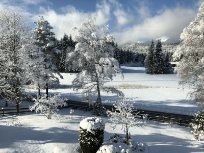 Holiday apartment Haus Auerhahn - Outdoor photo 12