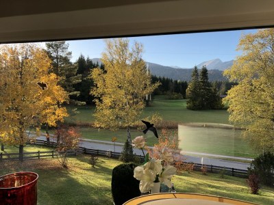 Holiday apartment Haus Auerhahn - Outdoor photo 14