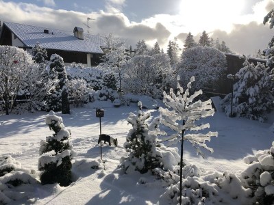 Holiday apartment Haus Auerhahn - Outdoor photo 17