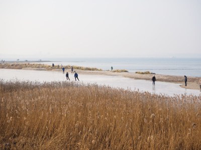 Holiday house Vogeldüne Holiday Home - Environment photo 23
