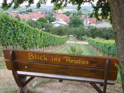 Holiday apartment Eisenmann - Environment photo 10