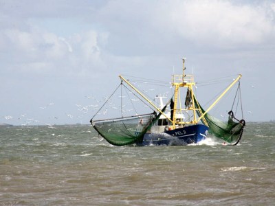 Holiday apartment Seegarden auf dem Kastanienhof - Environment photo 18