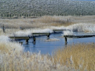 Holiday apartment Halligblick in der Nordermühle - Environment photo 18