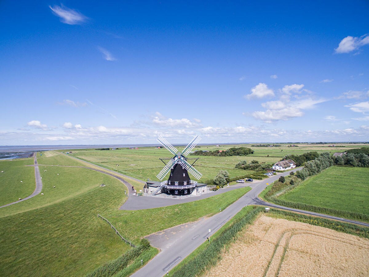 Holiday apartment Inselblick in der Nordermühle - Outdoor photo 3