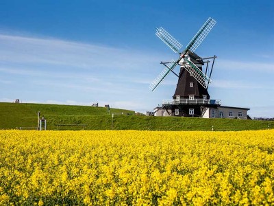 Holiday apartment Inselblick in der Nordermühle - Outdoor photo 6