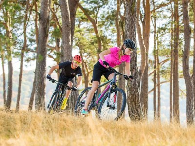 Holiday apartment D&B Sea View Villas - Environment photo 16