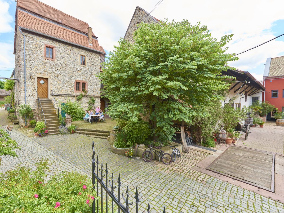 Holiday apartment Gästehaus Dätwyl - Outdoor photo 2