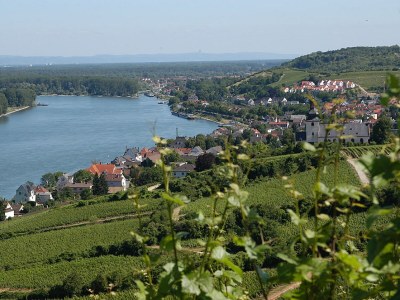 Holiday apartment Gästehaus Dätwyl - Environment photo 13