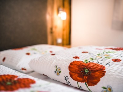 Holiday apartment Primula - Features photo 13