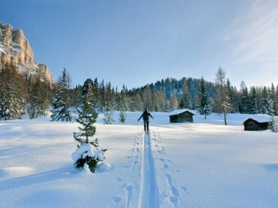 Holiday apartment Primula - Environment photo 33