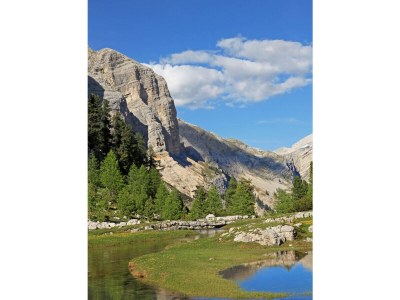 Holiday apartment Primula - Environment photo 39