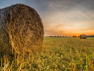 Holiday house Villa Fleesenstrand - Environment photo 16