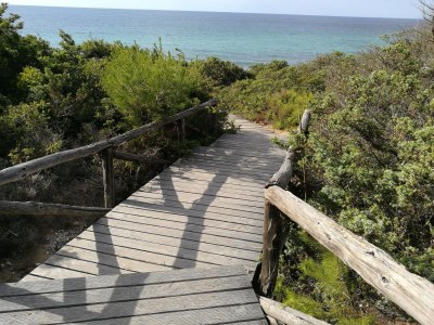 Holiday house Villa Timo. - Environment photo 20