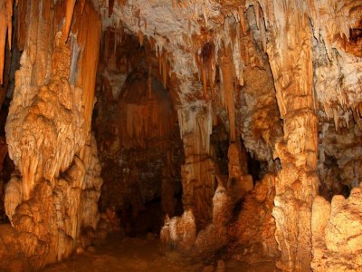 Apartment Beach-Resort - Environment photo 27