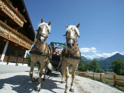 Apartment Strobl - Environment photo 25