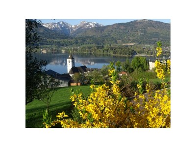 Apartment Strobl - Environment photo 31