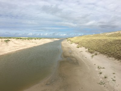 Holiday apartment Duinsuite - Environment photo 34