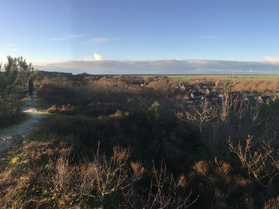 Holiday apartment Duinsuite - Environment photo 43