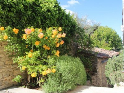 Holiday apartment La Viouge - Outdoor photo 8