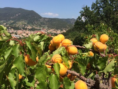 Holiday apartment La Viouge - Outdoor photo 9