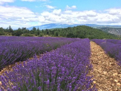 Holiday apartment La Viouge - Environment photo 20