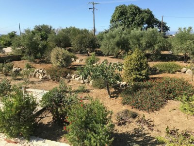 Villa Luxurious Villa in Peloponnese - Outdoor photo 20