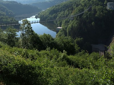 Holiday apartment Forrest View - Environment photo 18